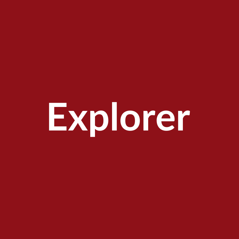 Explorer Rose - Red - Ecuador