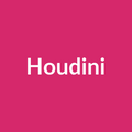 Houdini Rose - Hot Pink - Ecuador