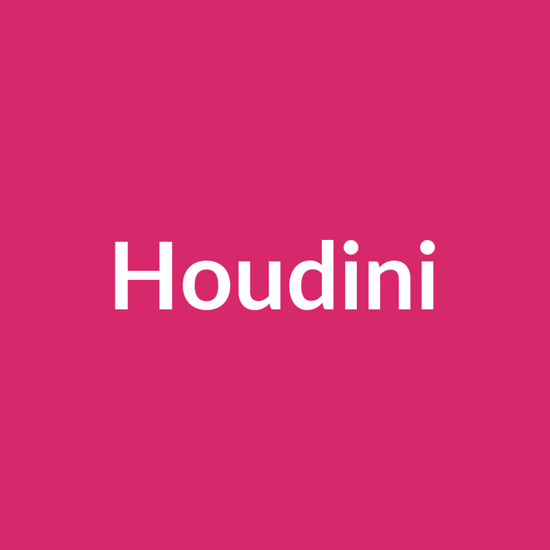 Houdini Rose - Hot Pink - Ecuador