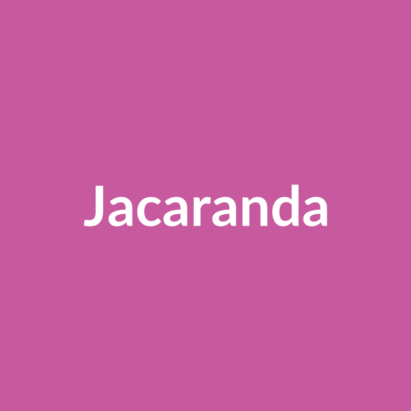 Jacaranda Rose - Hot Pink - Ecuador
