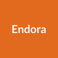 Endora Rose - Orange - Ecuador
