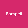 Pompeii Rose - Hot Pink - Ecuador