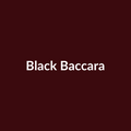 Black Baccara Rose - Red - Ecuador