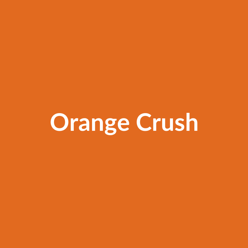 Orange Crush Rose - Orange - Ecuador