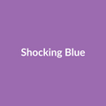 Shocking Blue Rose - Lavender - Ecuador