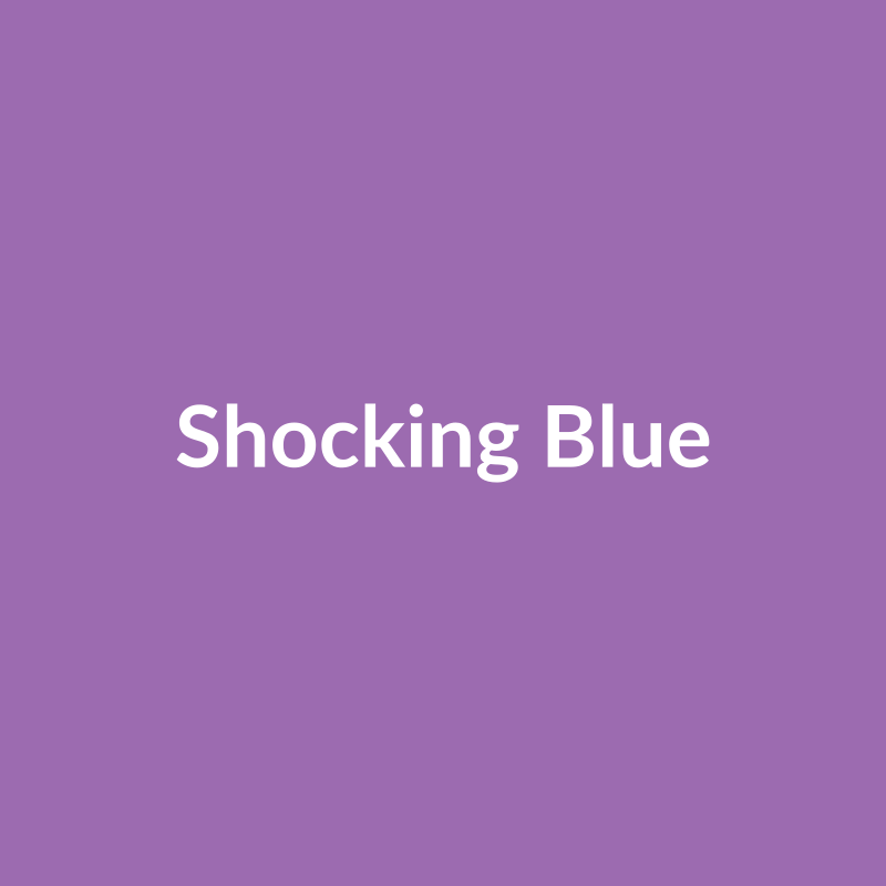 Shocking Blue Rose - Lavender - Ecuador