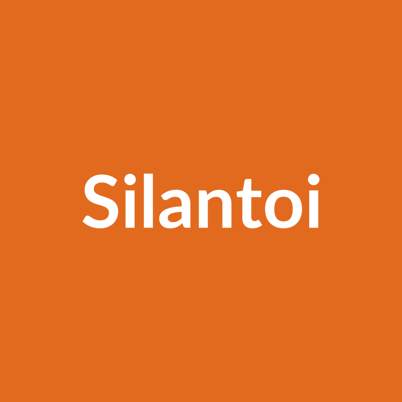 Silantoi Rose - Orange - Ecuador