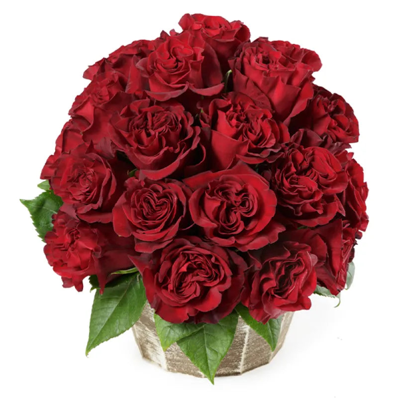Hearts Rose
