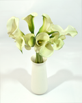 Mini Calla White 2 — wholesale