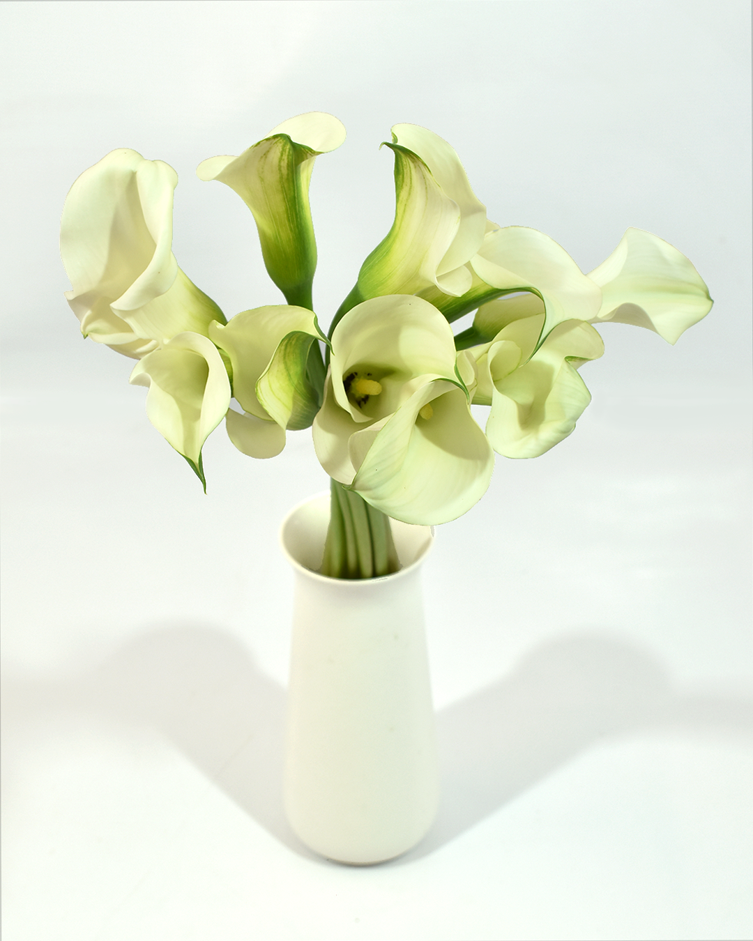 Mini Calla White 2 — wholesale