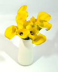Mini Calla Yellow — wholesale