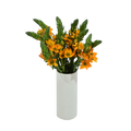 Ornithogalum Orange — wholesale