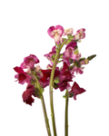 Pk Snapdragon Red — wholesale