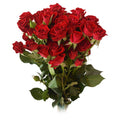 Red Mikado Spray Rose, wholesale red spray roses