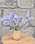 Sweet Pea Lavender — wholesale roses