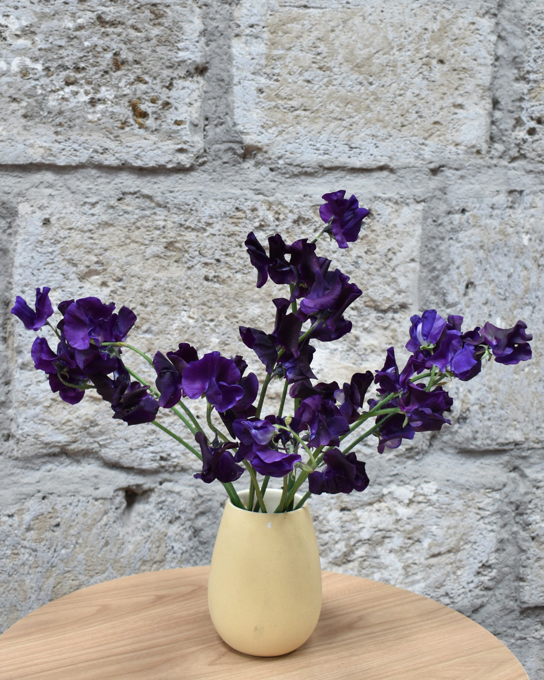 Sweet Pea Purple — wholesale roses