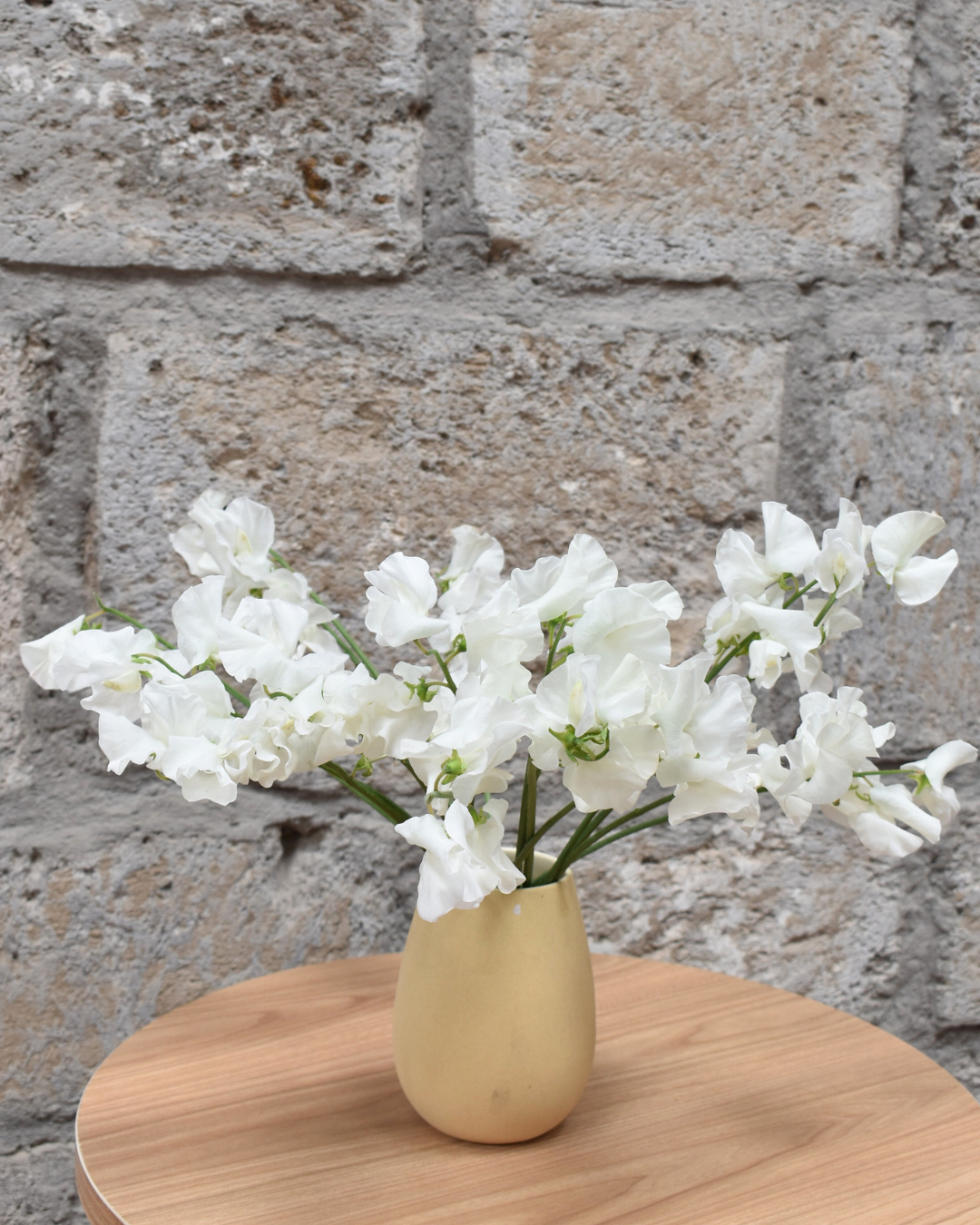 Sweet Pea White — wholesale roses