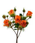 Saona Spray Rose — wholesale
