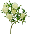 Shining Star Spray Rose — wholesale