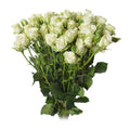 Snow Flake Spray Rose, wholesale white spray roses
