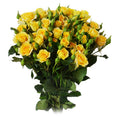 Sun City Spray Rose, wholesale yellow spray roses