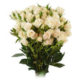 White Majolika Spray Rose, wholesale white spray roses