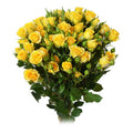 Yellow Babe Spray Rose, wholesale yellow spray roses