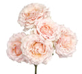 Wedding Rosever Spr Garden Rose, wholesale light pink garden roses