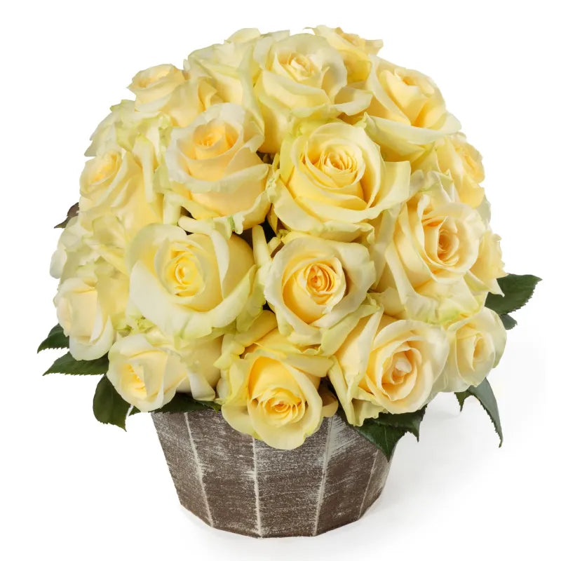Creme de la Creme Rose
