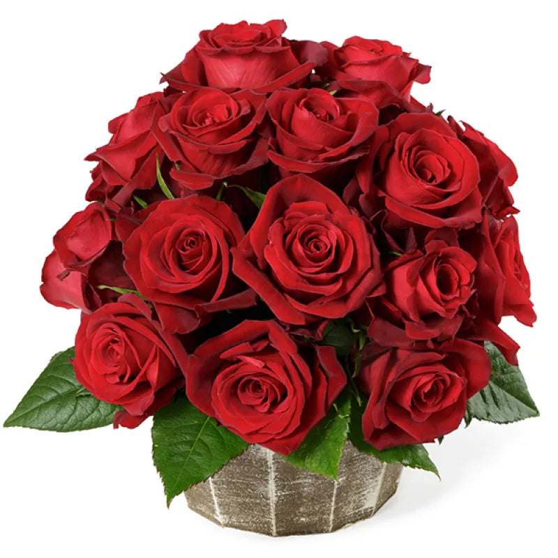 Fortune Rose
