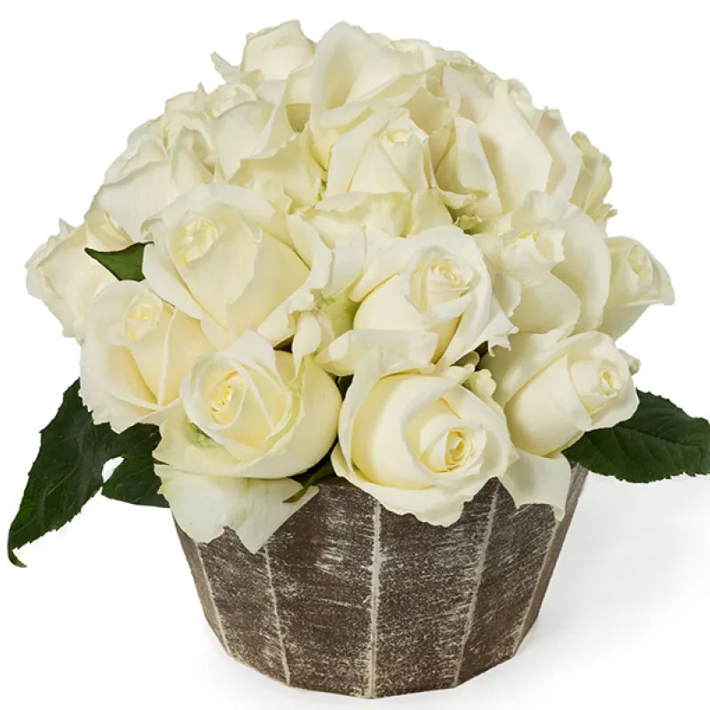 Tibet Rose