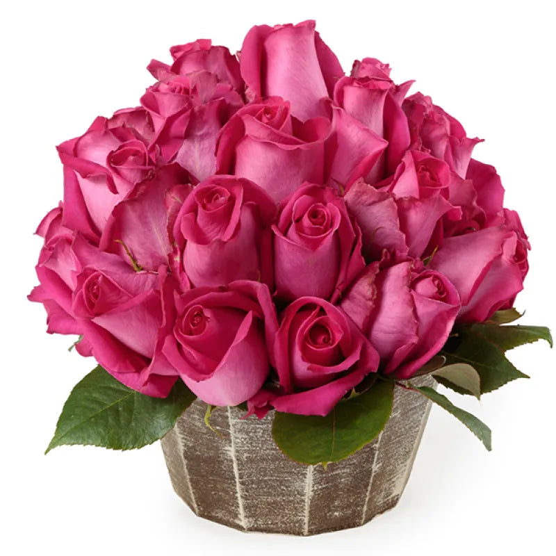 Topaz Rose